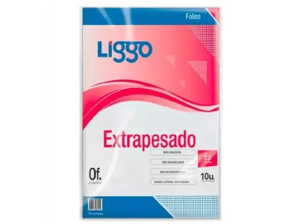 Folio Oficio 70 Micrones 100u Liggo